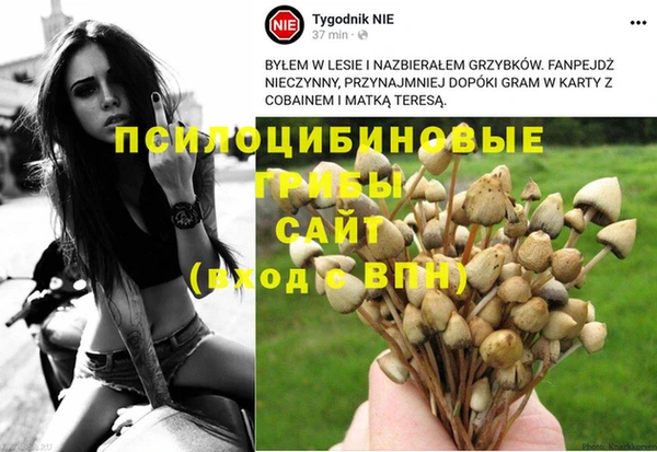 сатива Нефтекумск