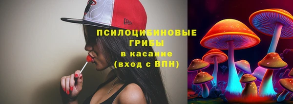 сатива Нефтекумск