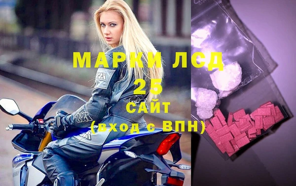сатива Нефтекумск