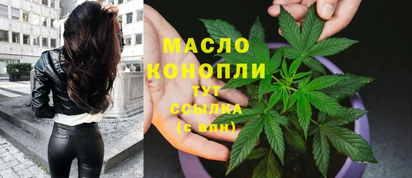 сатива Нефтекумск