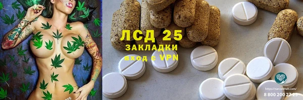 сатива Нефтекумск