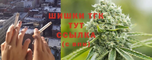 сатива Нефтекумск