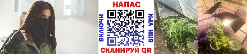 мега онион  Фурманов  Каннабис LSD WEED  даркнет сайт 